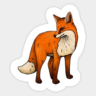 fox animal illustration, fox family, wildlife, safari, Sticker